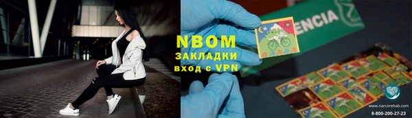МДПВ Бородино