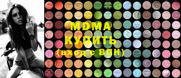 МДПВ Бородино