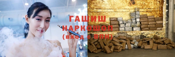 МДПВ Бородино